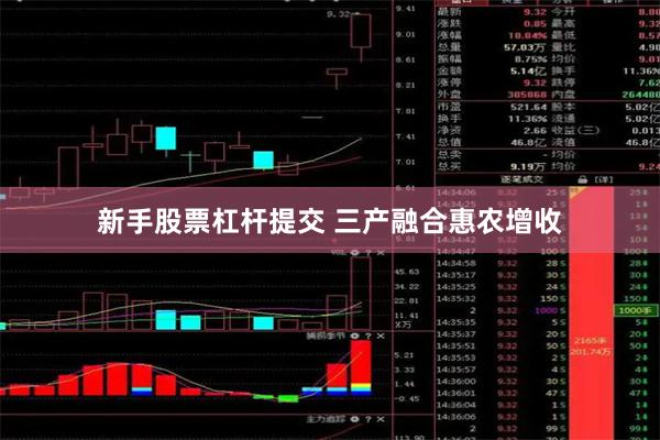 新手股票杠杆提交 三产融合惠农增收