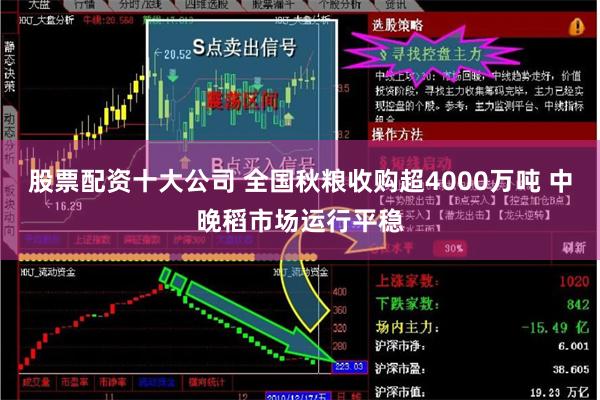 股票配资十大公司 全国秋粮收购超4000万吨 中晚稻市场运行平稳
