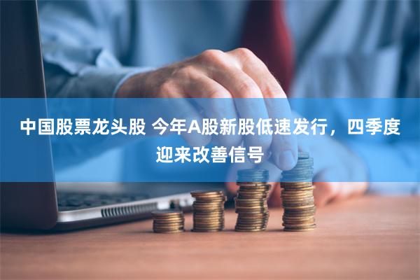 中国股票龙头股 今年A股新股低速发行，四季度迎来改善信号