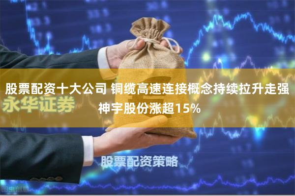 股票配资十大公司 铜缆高速连接概念持续拉升走强 神宇股份涨超15%