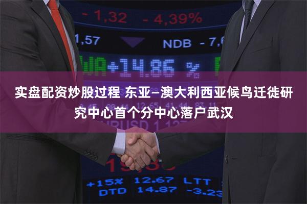 实盘配资炒股过程 东亚—澳大利西亚候鸟迁徙研究中心首个分中心落户武汉