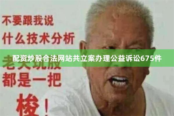配资炒股合法网站共立案办理公益诉讼675件